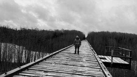 Mistango River Train Bridge - Mistango-River-Train-Bridge4.jpg