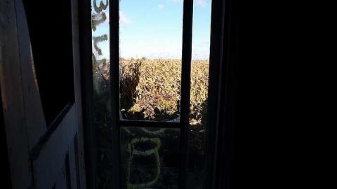 Cornfield house - Welsh-House43.jpg