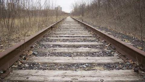 Don Branch 2016 - Don-Branch4.jpg