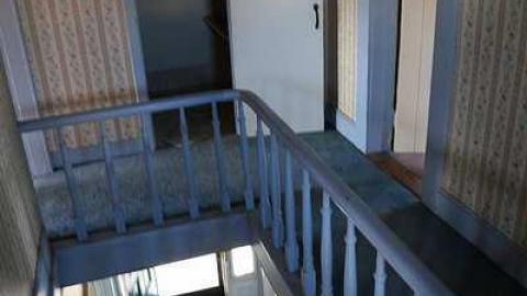 Surrounded by development - IMG_1639.jpg