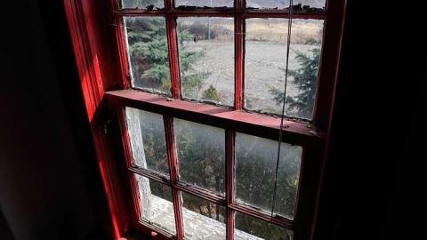 Surrounded by development - IMG_1653.jpg