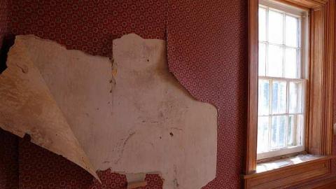 Surrounded by development - IMG_1663.jpg