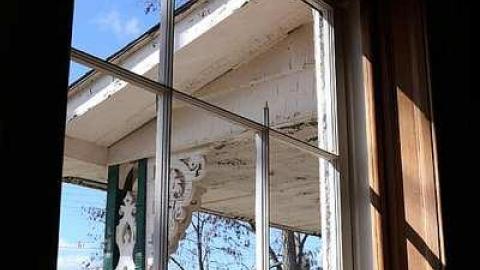 Surrounded by development - IMG_1664.jpg