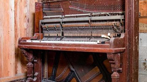 Careful...Rotten Stairs! - 186A4359.jpg