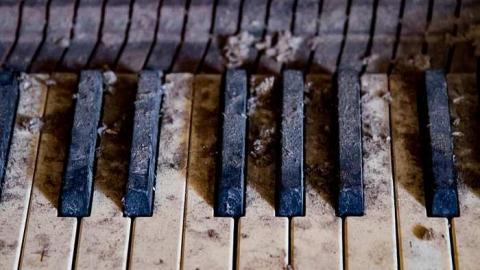 Careful...Rotten Stairs! - 186A4360.jpg