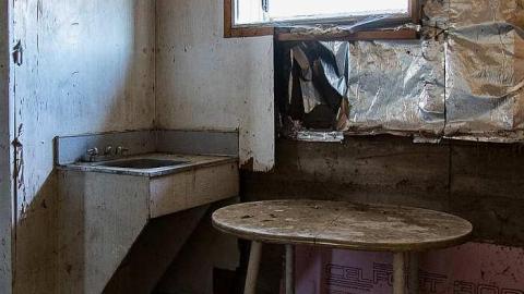 Careful...Rotten Stairs! - 186A4361.jpg