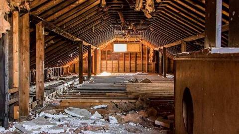 Careful...Rotten Stairs! - 186A4362.jpg