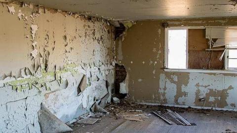 Careful...Rotten Stairs! - 186A4366.jpg