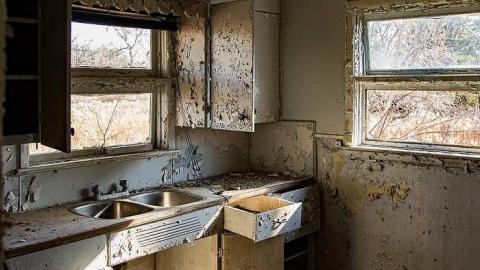 Careful...Rotten Stairs! - 186A4367.jpg