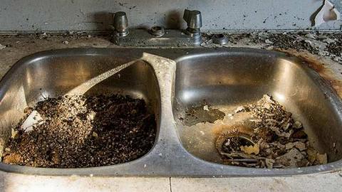 Careful...Rotten Stairs! - 186A4368.jpg