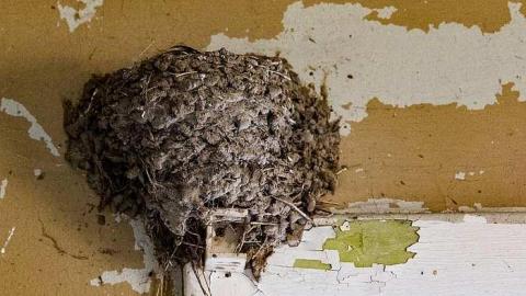 Careful...Rotten Stairs! - 186A4370.jpg