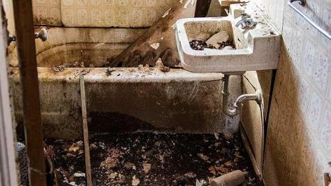 Careful...Rotten Stairs! - 186A4371.jpg