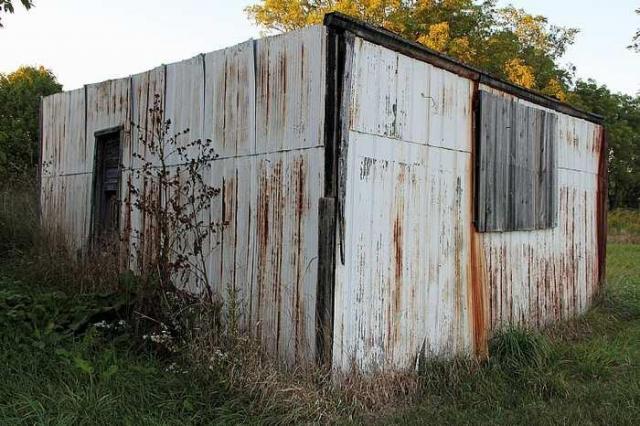 Lots of Raccoons! - _MG_2121.jpg