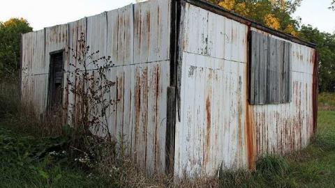 Lots of Raccoons! - _MG_2121.jpg