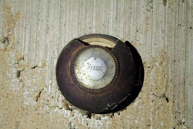 Lots of Raccoons! - _MG_2138.jpg