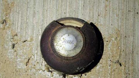 Lots of Raccoons! - _MG_2138.jpg