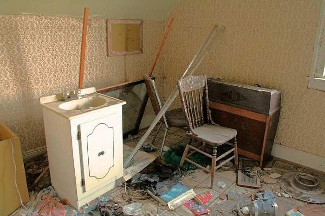 Lots of Raccoons! - _MG_2140.jpg