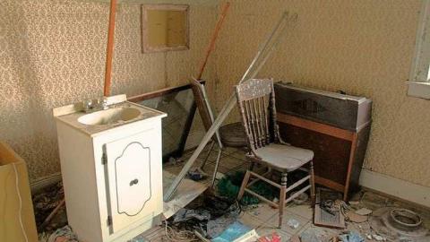 Lots of Raccoons! - _MG_2140.jpg