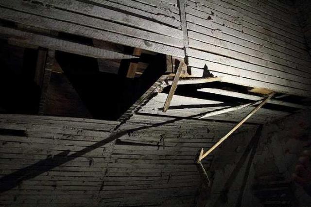 Lots of Raccoons! - _MG_2142.jpg