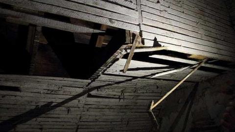 Lots of Raccoons! - _MG_2142.jpg