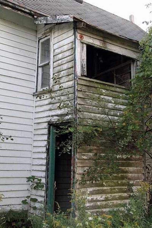 Lots of Raccoons! - _MG_2150.jpg