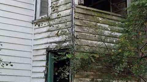 Lots of Raccoons! - _MG_2150.jpg