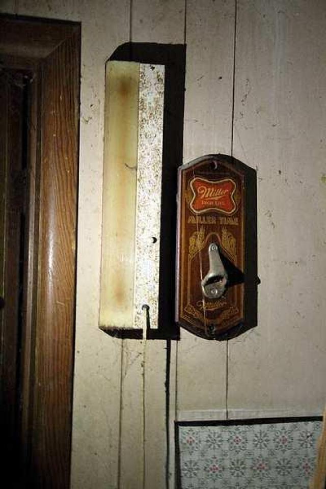 Lots of Raccoons! - DPP_0046.jpg