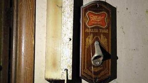 Lots of Raccoons! - DPP_0046.jpg