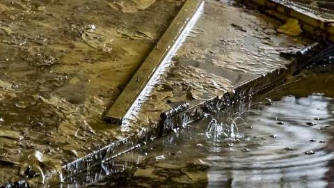 McCormicks - McCormicks-Biscuit-Factory530.jpg