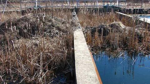Out of Control - Water-Treatment-Plant38.jpg