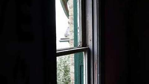 Dorchester - DPP_0032.jpg