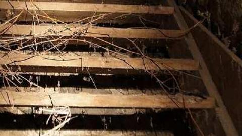 Dorchester - DPP_0040.jpg