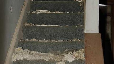 Dorchester - DPP_0054.jpg