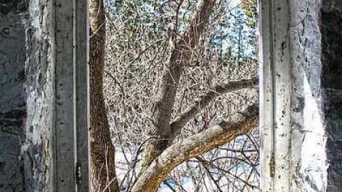 Manoir Seigneurial - manoir1.jpg