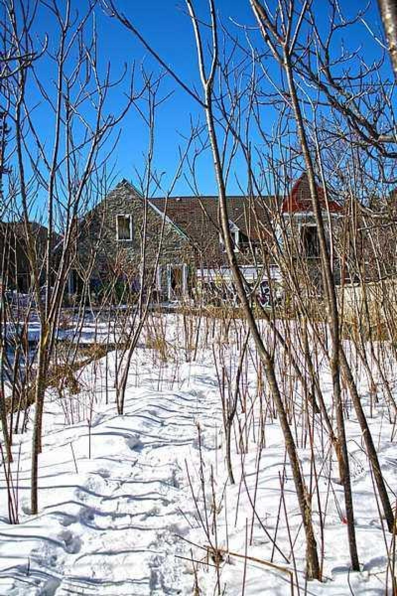 Manoir Seigneurial - manoir4.jpg