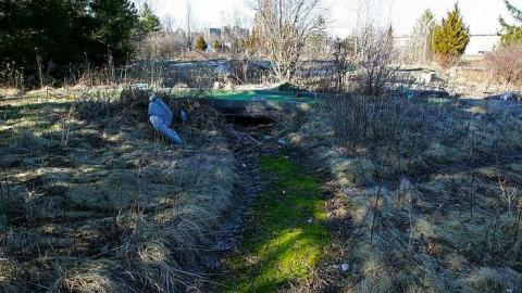 March 20 2016 - Hole-In-One46.jpg