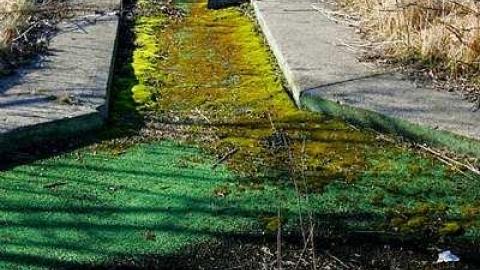 March 20 2016 - Hole-In-One47.jpg