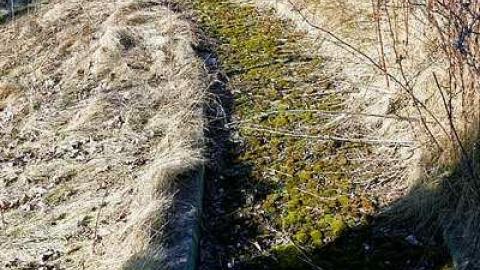 March 20 2016 - Hole-In-One44.jpg