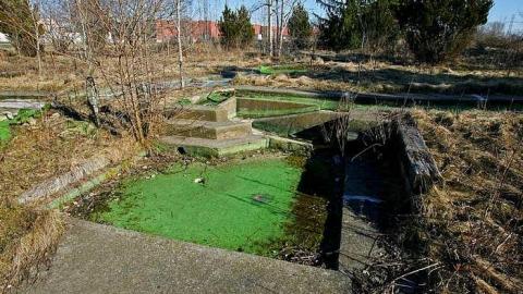 March 20 2016 - Hole-In-One48.jpg