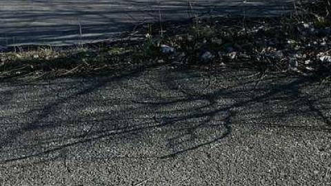 March 20 2016 - Hole-In-One45.jpg