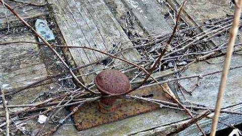 Little Green House - Melancthon-(ghost-town)105.jpg