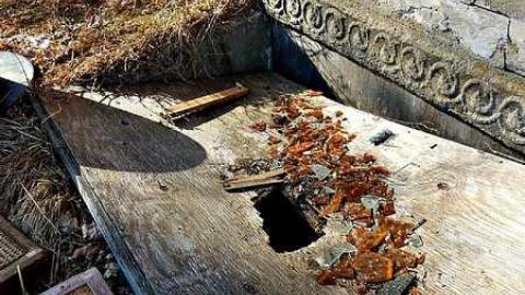 March 2016 - mon4.jpg