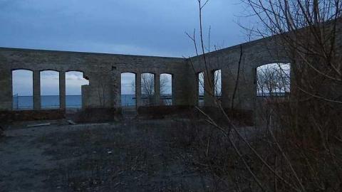 Photo from Evening Pics