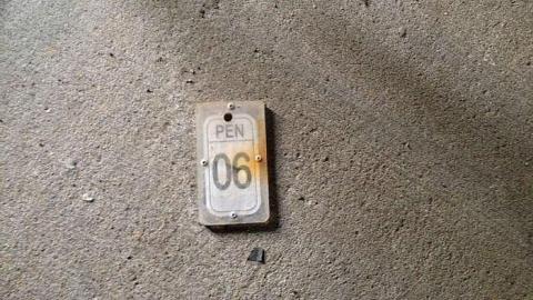 iPhone Urbex - IMG_2483.jpg