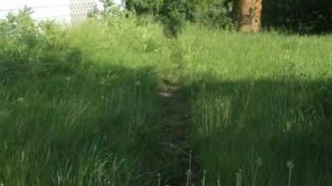 W. Smith House photo 3