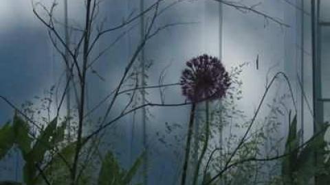 W. Smith House photo 4