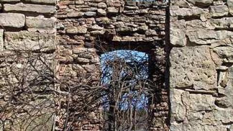 Just beautiful! - Top-of-Blue35.jpg