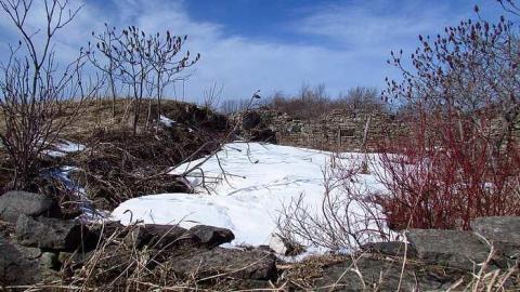 Just beautiful! - Top-of-Blue32.jpg