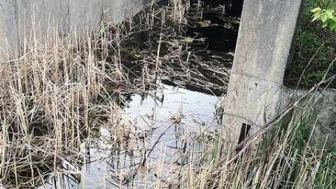 2015 mine visit - Marmora-Mine33.jpg