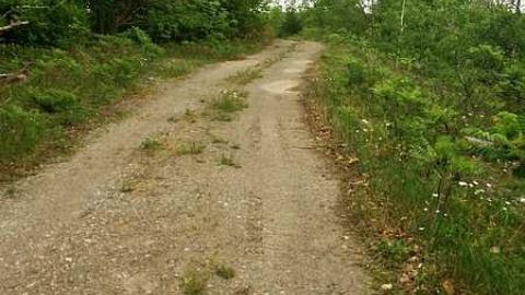 2015 mine visit - Marmora-Mine94.jpg